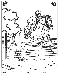 Kleurplaten Paradijs Kleurboek Manege Horse Coloring Pages Horse Drawings Horse Color