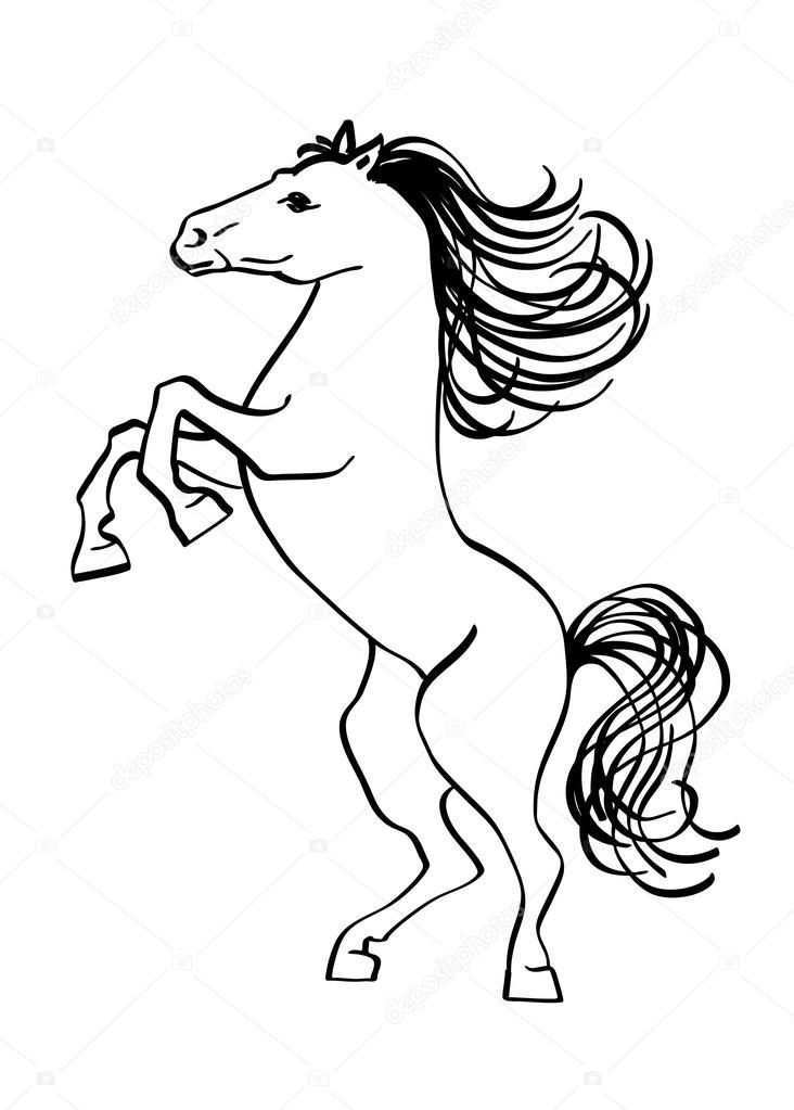 Afbeeldingsresultaat Voor Steigerend Paard Tekenen Paard Tekeningen Paarden Beschilde