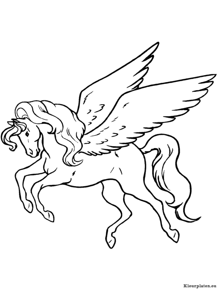 Pegasus Kleurplaten Malvorlage Einhorn Ausmalbilder Ausmalen