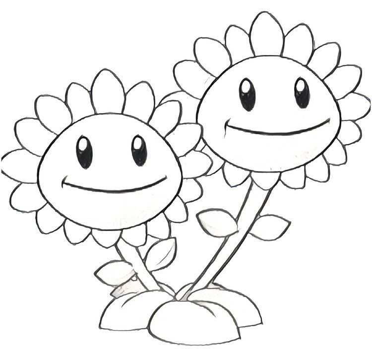 Plants Vs Zombies Colorear Plant Zombie Zombie Birthday Coloring Pages
