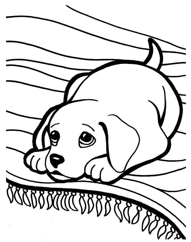 4 Golden Retriever Coloring Pages Puppy Coloring Pages Coloringcks Puppy Coloring Pag