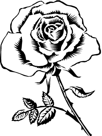 Coloring Pages Of Flowers Free Coloring Pages Roos Schets Kleurplaten Voor Volwassene