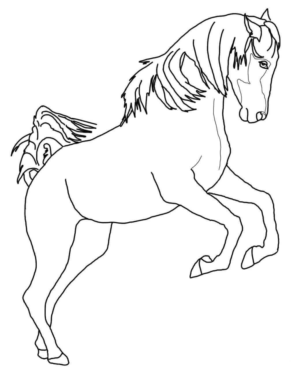 Rearing Arabian Horse Coloring Page Horse Coloring Pages Horse Coloring Horse Colorin