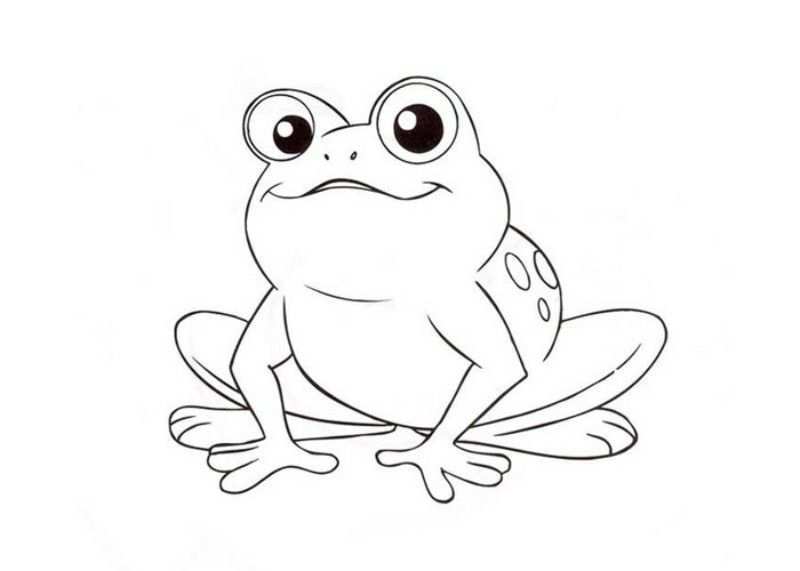Frog And Toad Coloring Pages Frog Coloring Pages Animal Templates Frog Pictures