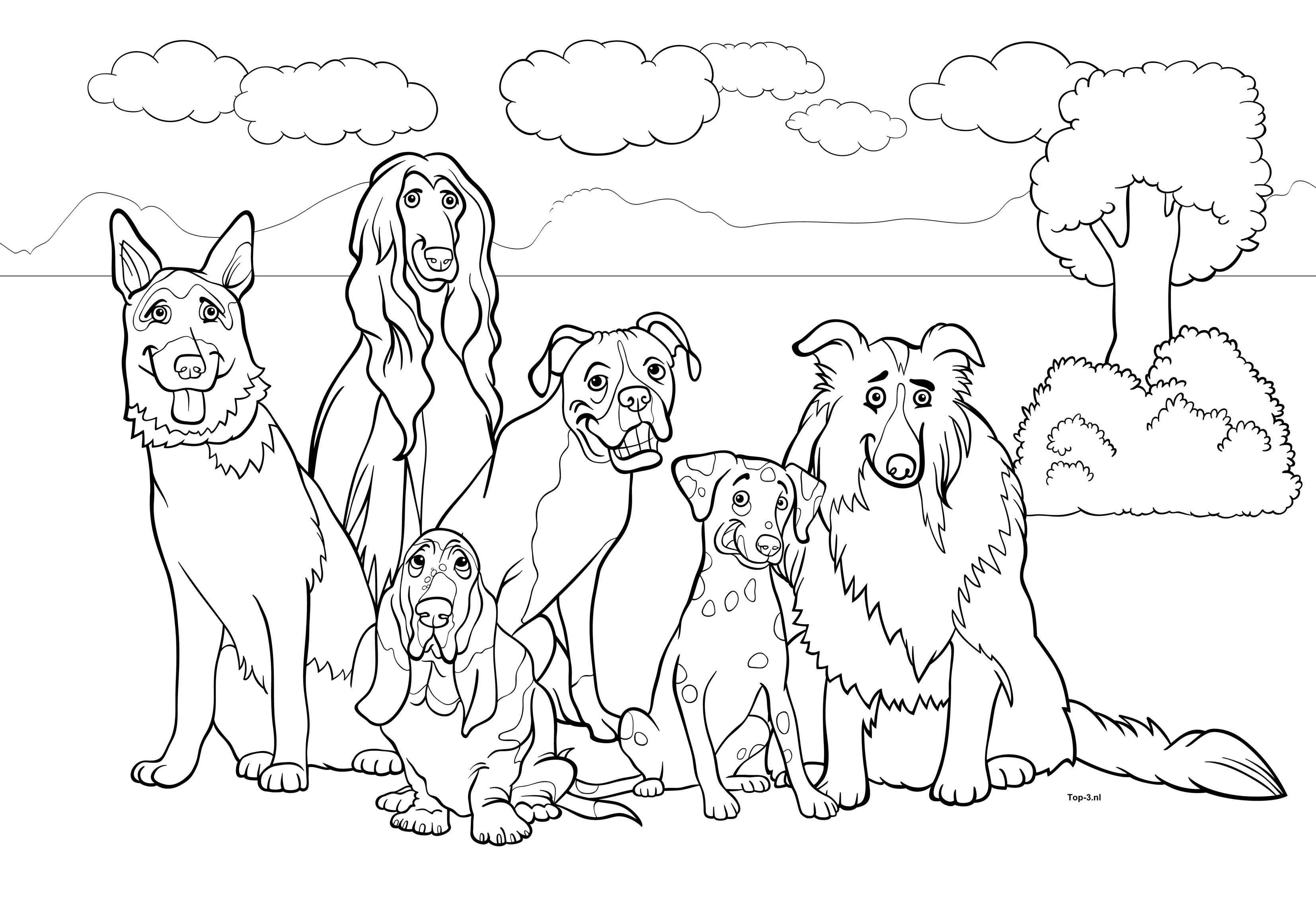 Kleurplaat Honden Top 3 Kado En Feesttips Kleurboek Cartoon Hond Kleurplaten