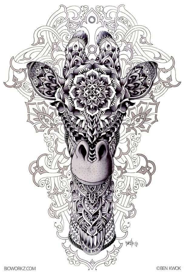 Ornate Animals By Ben Kwok At Coroflot Com Dieren Kleurplaten Zentangle Patronen Pent