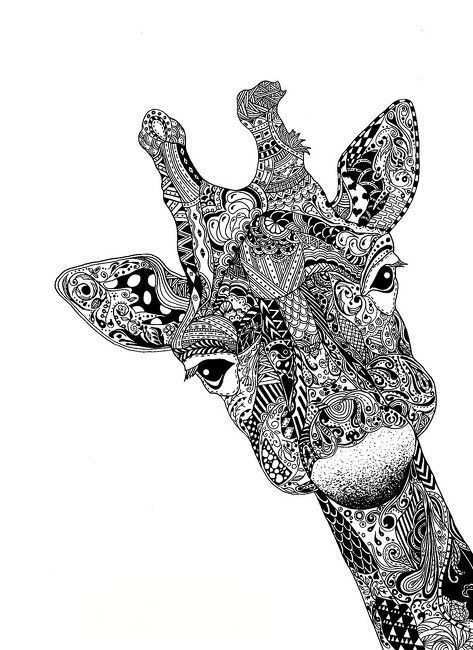 Giraffe Illustration Caught My Eye Because Of All The Small Details That Make Up This