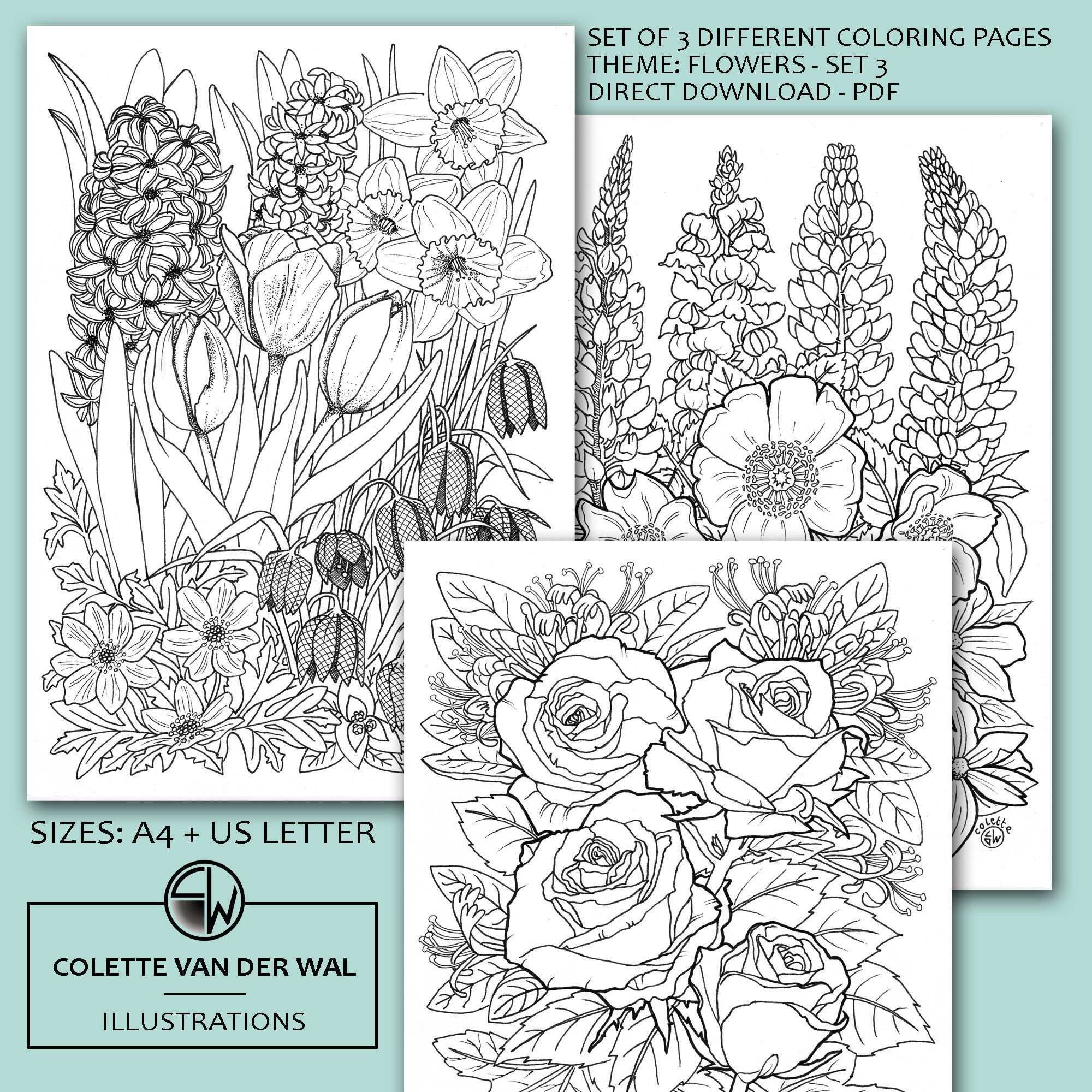 Bloemen Kleurplaten Set 3 Set Van 3 Verschillende Afbeeldingen Handgetekende Illustra