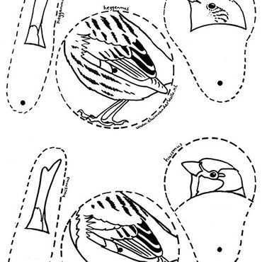 Download Leuke Kleurplaten Van Vogels Vogelbescherming Nl Vogels Kleurplaten Winter