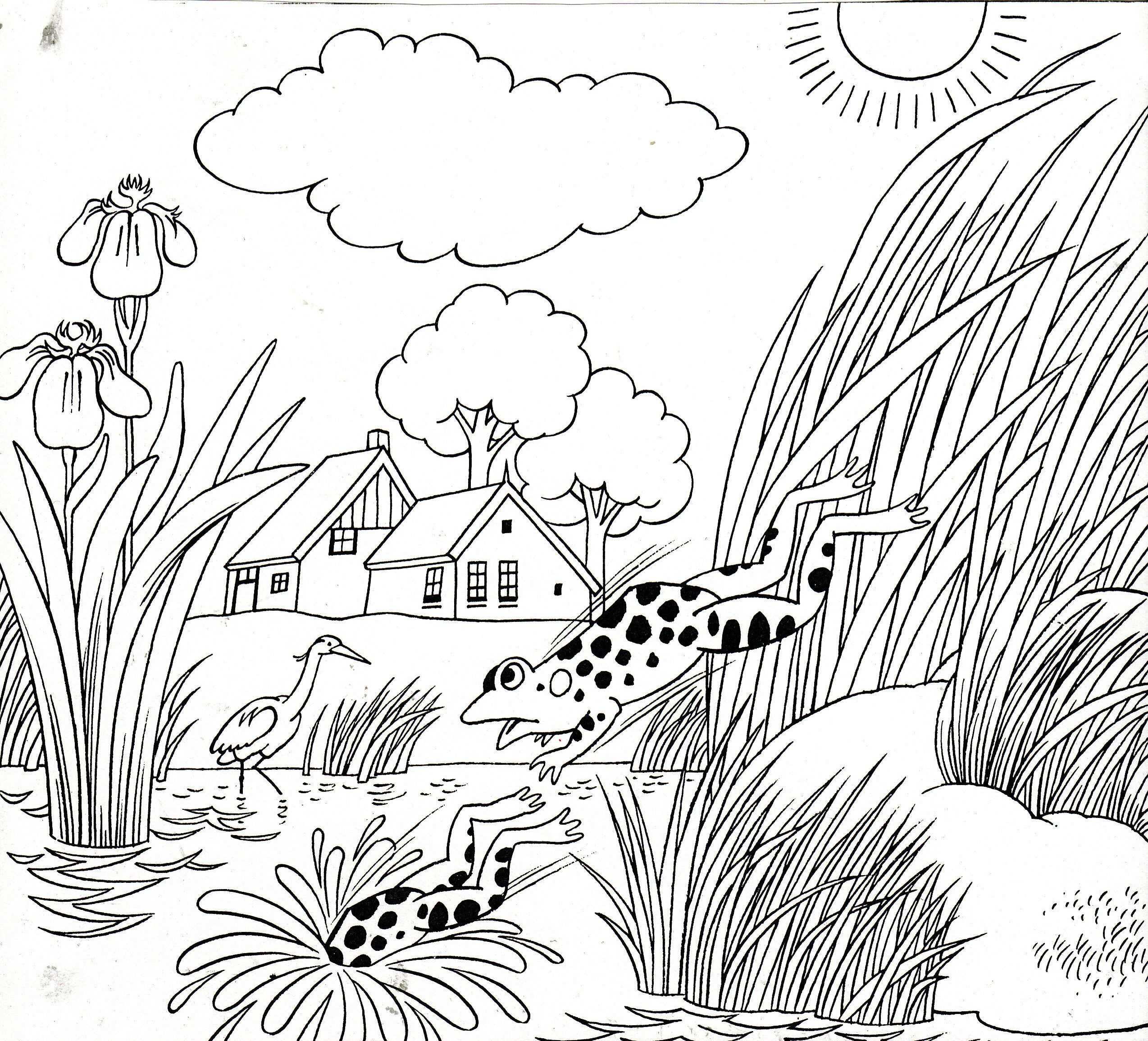 Kikkers Frogs Butterfly Coloring Page Colorful Butterflies Coloring Pages