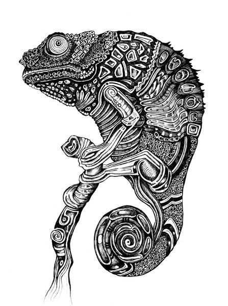 Afbeeldingsresultaat Voor Chameleon Land Art Chameleon Art Art Chameleon Tattoo