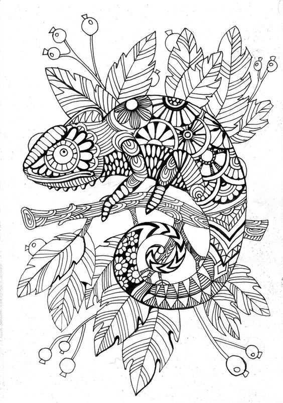 Cameleon Coloring Page Animal Coloring Pages Mandala Coloring Pages Coloring Pages