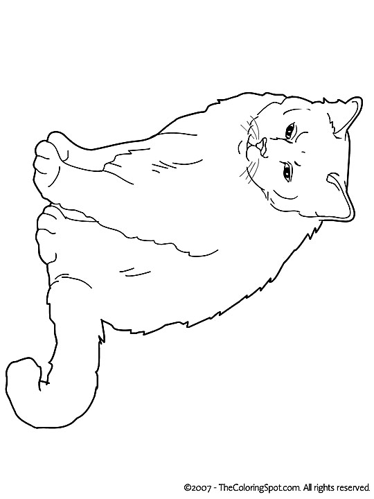 Kleurplaat Kleurplaat Poezen 3784 Cat Coloring Page Cat And Dog Drawing Abc Coloring