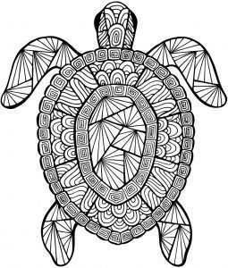 Mandela Turtle Mandala Kleurplaten Zentangle Schildpad Tekening