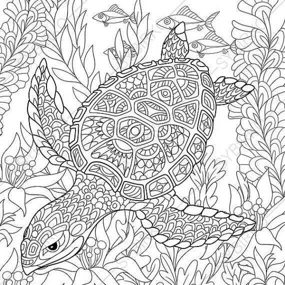 Coloring Pages For Adults Digital Coloring Page Turtle Sea Etsy Turtle Coloring Pages