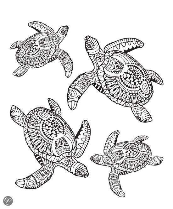 Mindful Kleuren Voor Volwassenen Turtles Bol Com Mindful Coloring For Adults Kwallen