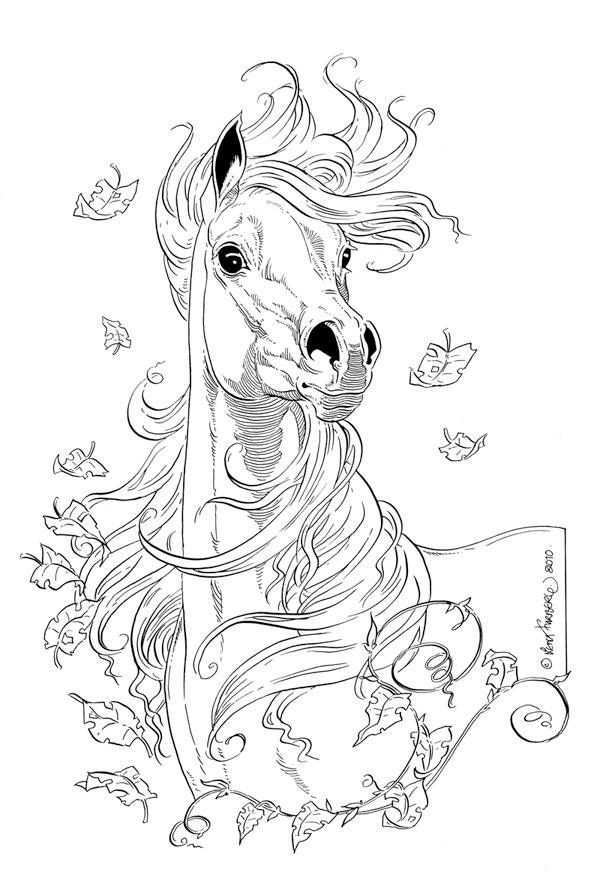 Lovely Horse Drawing Horse Coloring Pages Horse Drawings Animal Coloring Pages