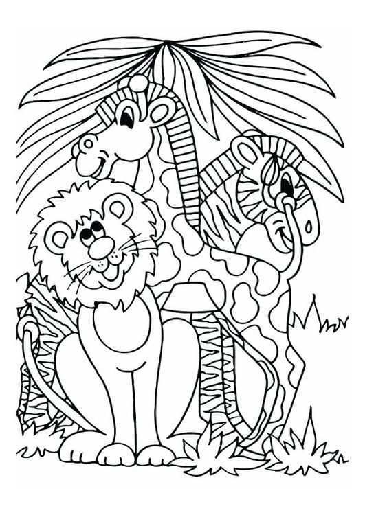 Kleurplaat Leeuw Giraf En Zebra Kinderen Leren Terwijl Ze Kleuren Afbeeldingen Voor S