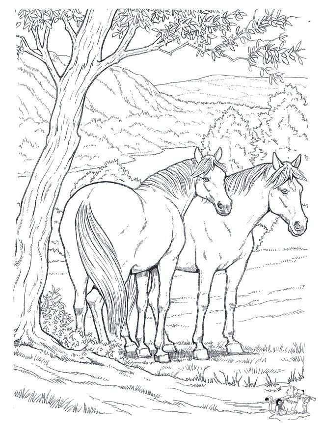 Pin On Coloring Pages