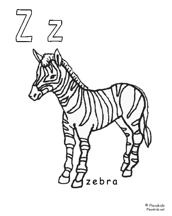 Dierenalfabet Kinder Kleurplaten Zebra Zebra S Kleurplaten Dieren