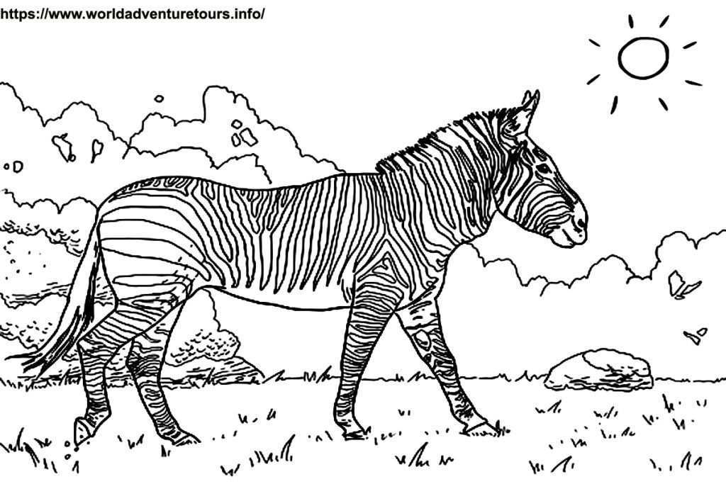 Ausmalbild Zebra Ohne Streifen In 2020 Ausmalbilder Tiere Ausmalbilder Pferde Zum Aus