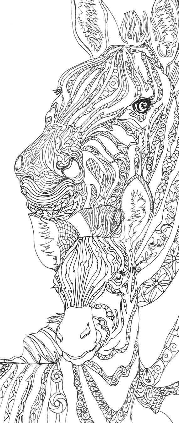 Zebra Clip Art Coloring Pages Printable Adult Coloring Book Hand Drawn Original Zenta