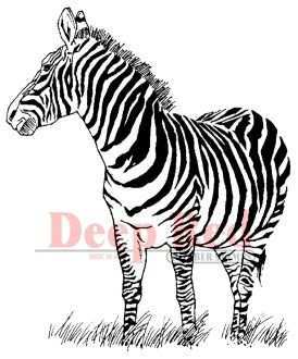 Zebra Stempel Dieren Kleurplaten Kleurplaten Tekenen